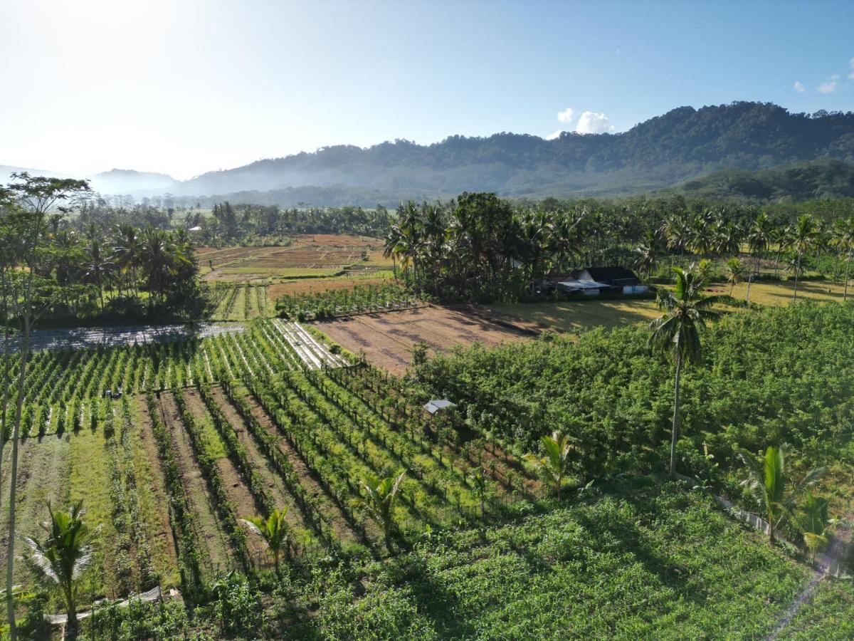 Adventure Turtle Homestay Meru Betiri Sarungan 외부 사진