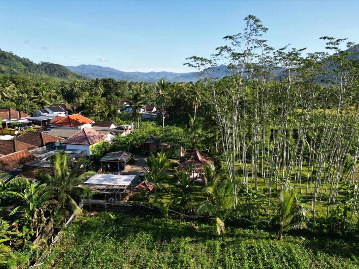 Adventure Turtle Homestay Meru Betiri Sarungan 외부 사진