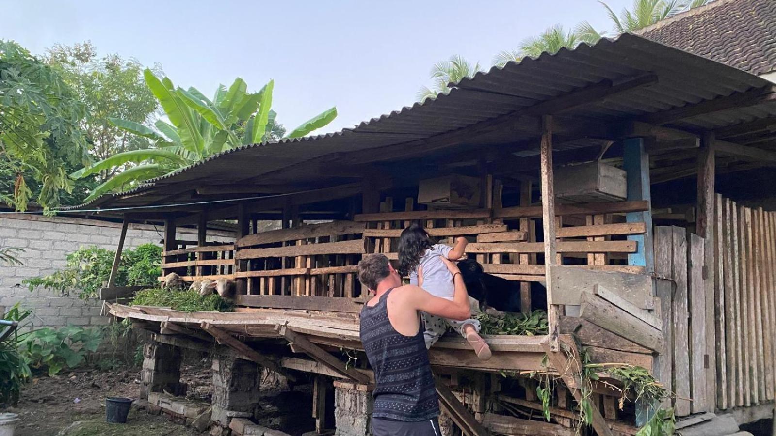 Adventure Turtle Homestay Meru Betiri Sarungan 외부 사진
