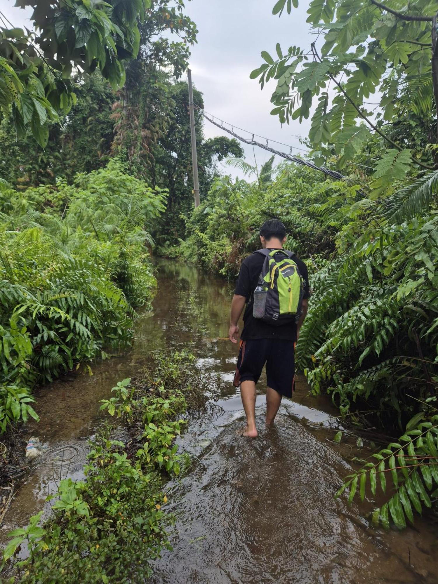 Adventure Turtle Homestay Meru Betiri Sarungan 외부 사진